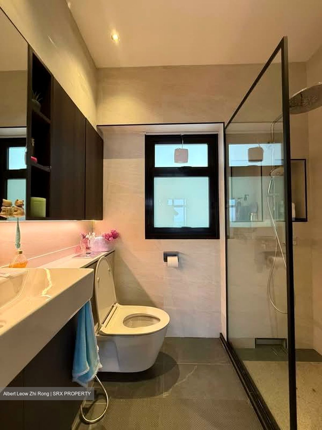 Blk 110A Alkaff Oasis (Toa Payoh), HDB 4 Rooms #568097901